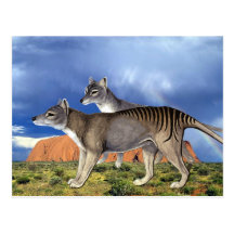 Tasmanische Tiger-Postkarten