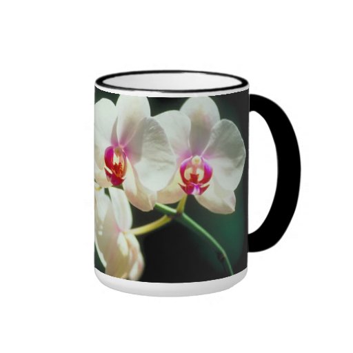 Tasse,Becher,Blume,