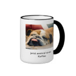 tasse,hund,englische bulldogge