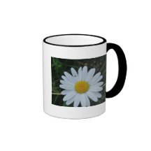 Tasse weisse Margeritenblüte