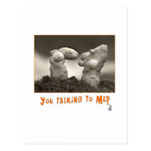 Taters Postkarte