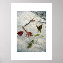 Tattered, verloren… und gefunden/Plakat