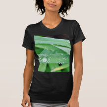 Tau nach einem regnerischen Moning in der alten St T-shirt