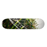 Tau umfaßte Spinnen-Netz auf Gras Personalisiertes Skateboard