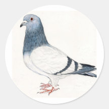 Tauben-Vogel-Kunst-Aufkleber