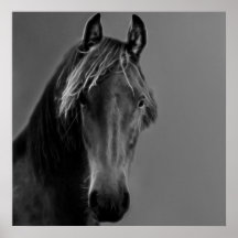 Tawny Pferd Posterdrucke