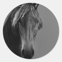 Tawny Pferd Stickers