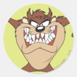 Taz, das 15 aufwirft runder sticker