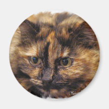 Tazzie Magnet-customie Magnete