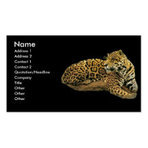 - TBA - Jaguar Visitenkartenvorlagen