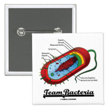 Team-Bakterien (Prokaryote) Buttons