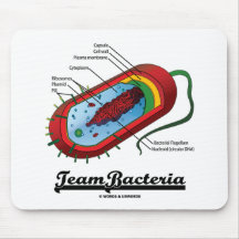 Team-Bakterien (Prokaryote) Mauspad