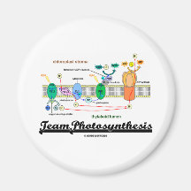 Team-Fotosynthese (lichtabhängige Reaktionen) Kühlschrankmagnete