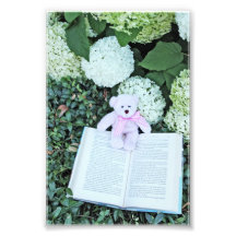 Teddybär, Hydrangeas und Buch Photographie