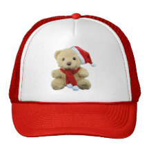 Teddybär Sankt Netzkappen