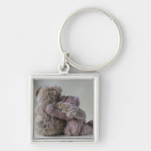 Teddybärfreunde quadratisches keychain schlüsselbänder