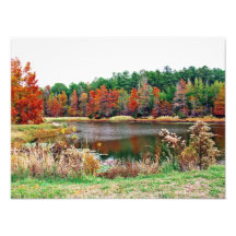 Teich im Herbst-Foto