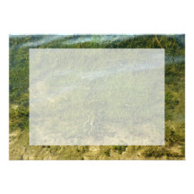 Teichgras-Unterwasserbild Ankündigungskarten