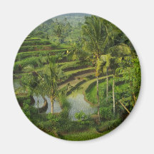 Terrasse Ricefield in Bali Kühlschrankmagnete