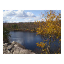 Terrasse-Teich - landschaftliches NJ Fotos