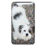 Terrier iPod Case-Mate Hüllen