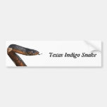 Texas-Indigo-Schlange Auto Sticker