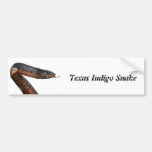 Texas-Indigo-Schlange Auto Sticker