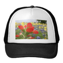 Texas-Wildblumen Retrokultkappe