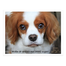 Thank you card - Dankeskarte Cavalier Charly Postkarten
