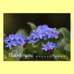 Thank you karten