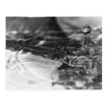 The pretty water postkarte