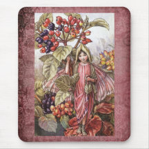 The Wayfaring Tree Fairy by Cecily Mary Barker Muismatten