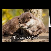 Thinking Of You Otter Greeting Card karten
