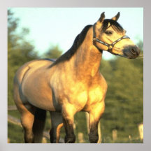 Thoroughbred Posterdrucke