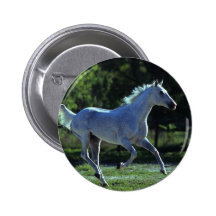 Thoroughbredstallions-Betrieb Anstecknadelbuttons