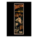 Thurston Vorlagenmagier und seine Haustiere Karten