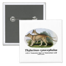 Thylacinus Cynocephalus (tasmanischer Tiger oder W Button