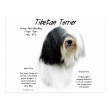 Tibetanisches Terrier-Geschichtsentwurf Postkarte