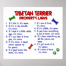 TIBETANISCHES TERRIER PL2 POSTERDRUCKE