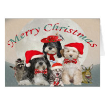 Tibetanisches Terrier-Weihnachten mit Freunden Karten