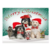 Tibetanisches Terrier-Weihnachten mit Freunden Postkarten