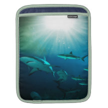 Tiefsee Sleeves Für iPads
