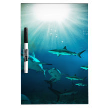 Tiefsee Whiteboards
