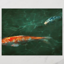 Tier - Fisch - Koi - eine andere Fischgeschichte Flyerbedruckung