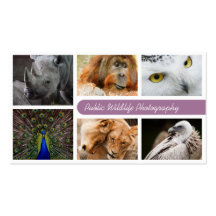 Tier-Fotografie-Visitenkarte