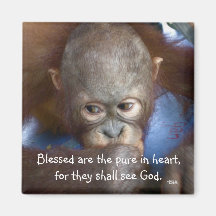 Tierbaby Blessed sind im Herzen das reine Magnete