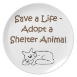 Tierrettungs-/Adoptions-Schutz-Katze Flache Teller