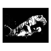 Tiger-Angreifen Postkarte