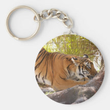 Tiger-Bengali 001 Schlüsselanhänger