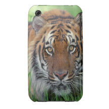 Tiger Case-Mate iPhone 3 Hülle